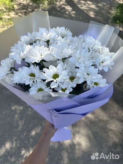 Хризантемы букет хризантем цветы доставка