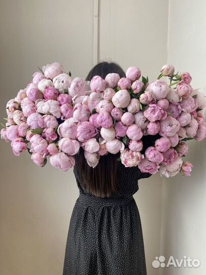 Пионы букет