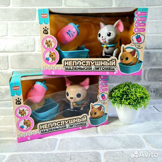 Непослушный маленький питомец Котенок