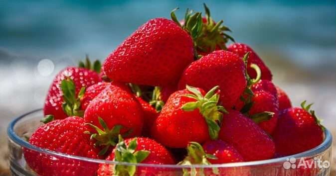 Саженцы клубники