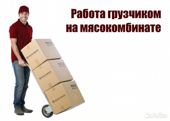 Грузчик/Вахта в Воронеже бесплатное питание