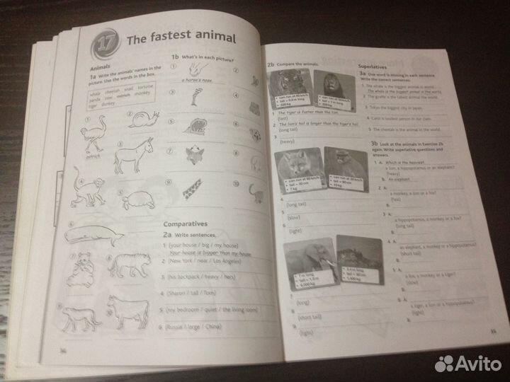 Учебник и раб.тетрадь по английскому языку Sky 2