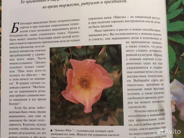 Книга «Энциклопедия по выращиванию роз»