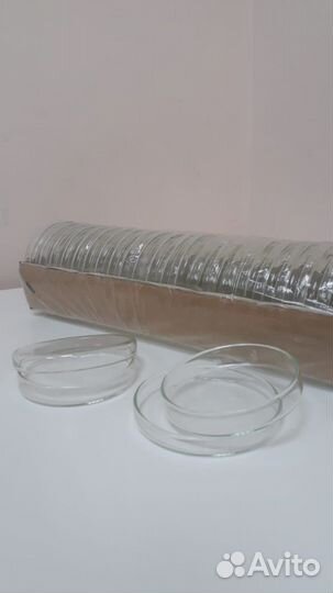 Чашка петри