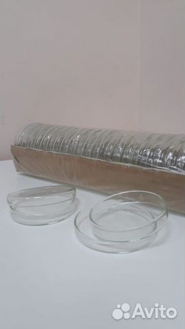 Чашка петри