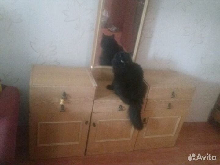 Трюмо и тумбы