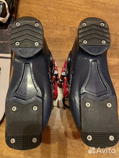 Горные лыжи