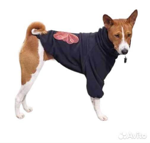 Худи, комбинезоны для басенджи