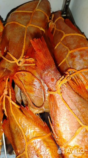 Копчёная и свежемороженная рыба