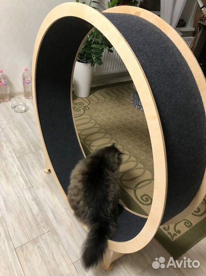 Беговое колесо для кошки