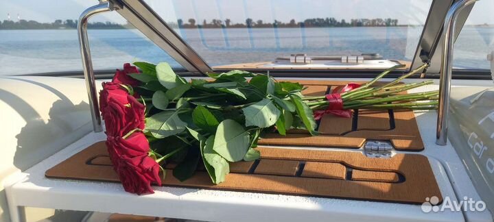 Прогулки на катере