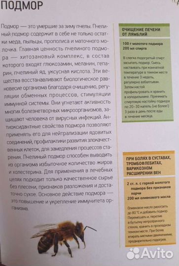 Пчелиный подмор. Продукты пчеловодства