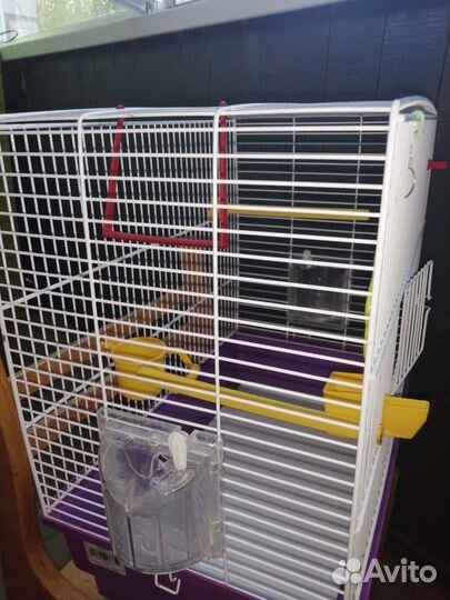 Клетка для попугая бу
