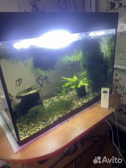 Аквариум