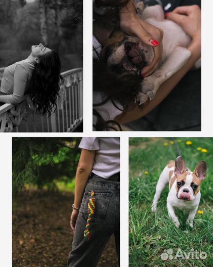 Фотограф (индивидуальная, семейная, свадебная)