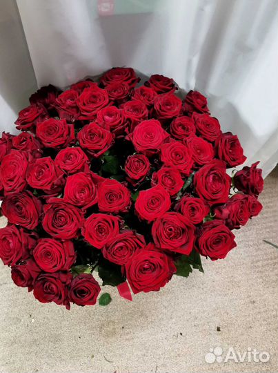 51 роза с доставкой, букет роз с доставкой