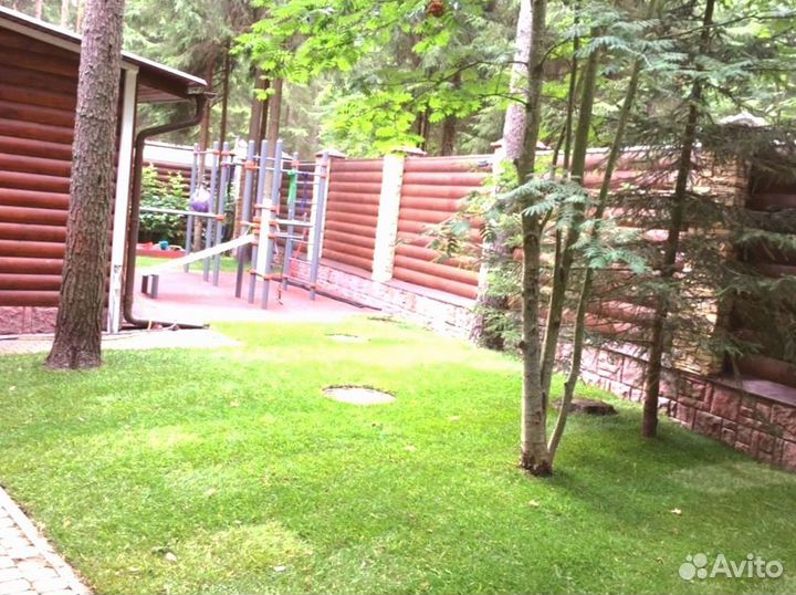 Рулонный газон