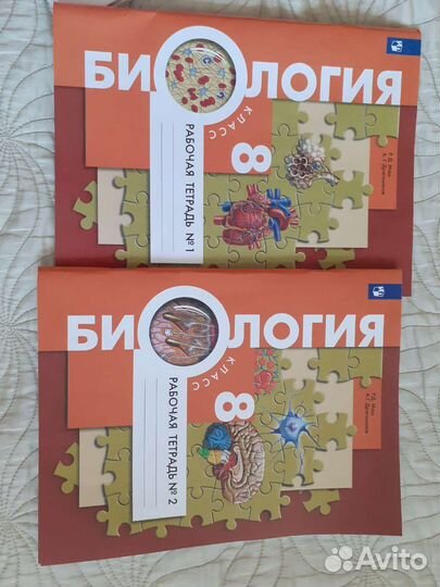 Школьные рабочие тетради 8 класс