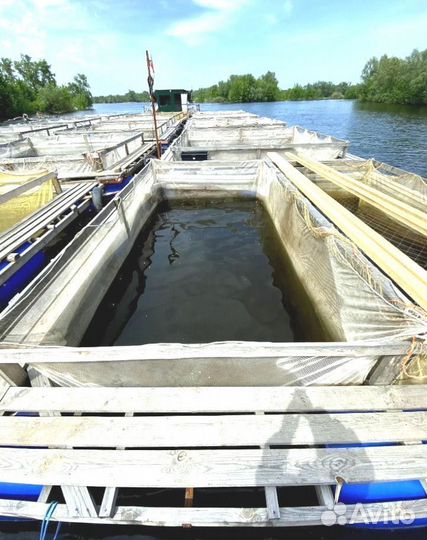 Садок для выращивания рыбы