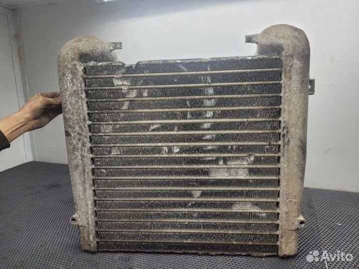 Интеркулер Renault Midlum 2001