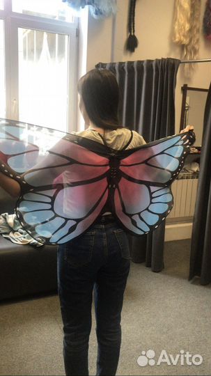 Крылья бабочки напрокат