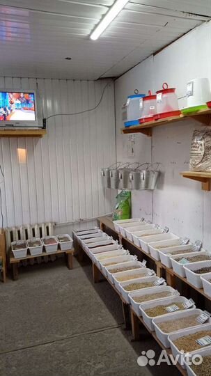 Корма для с/х животных