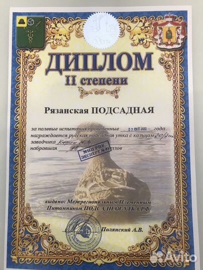 Утки подсадные для охоты