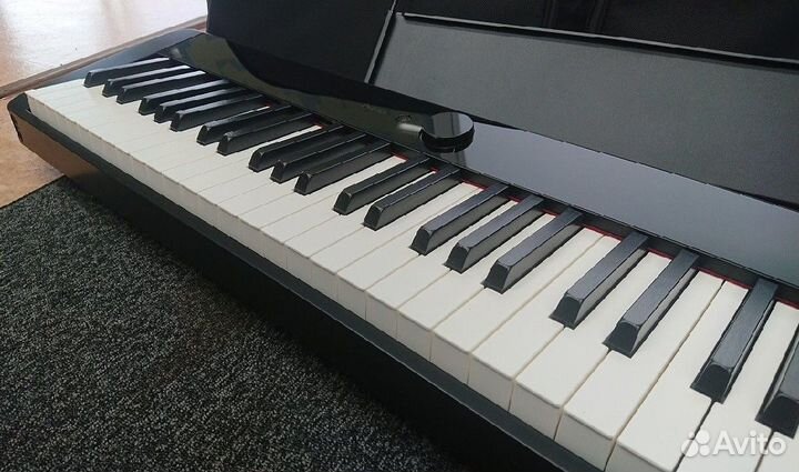 Casio privia px-s1000