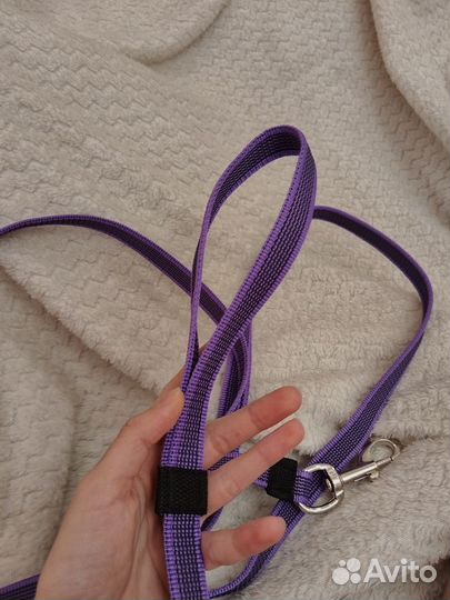Поводок для собак
