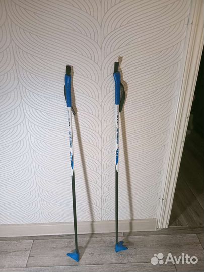 Лыжные палки
