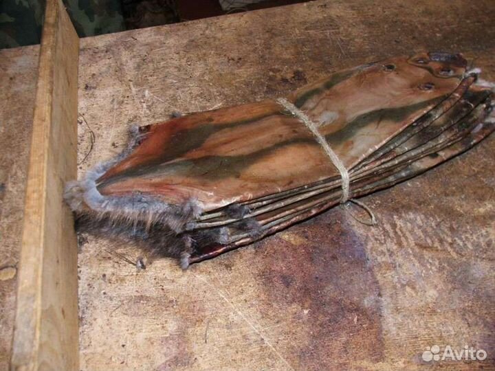 Шкуры бобра