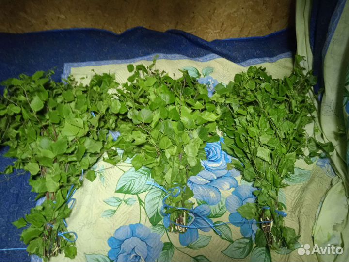 Березовые веники