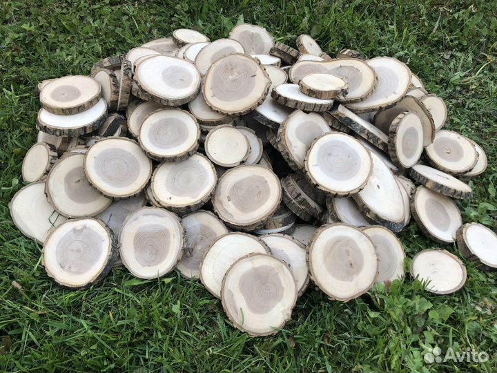 Набор спилов дерева для творчества