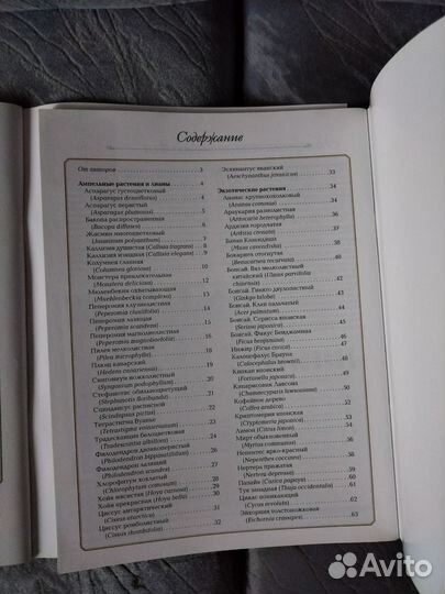 Книга комнатные растения суккуленты кактусы