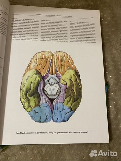 Атлас анатомии человека