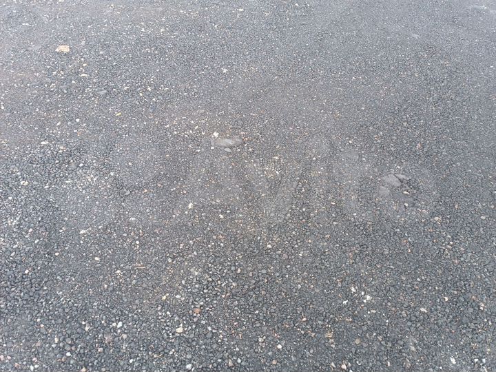 Участок 1,2 га (промназначения)