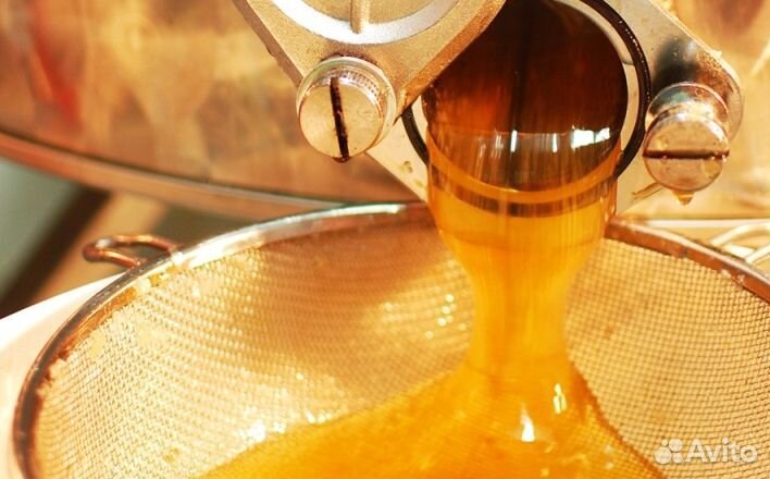 Мед натуральный из Алтая оптом минимально 16 кг