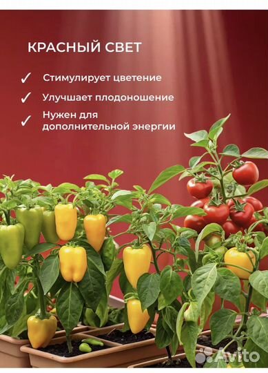 Лампа для цветов высокая