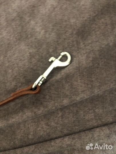 Поводок и ошейник для собаки