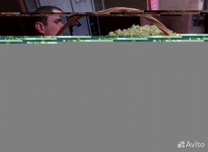 Розы Букеты Цветы Розы 31 101 151 201 Доставка