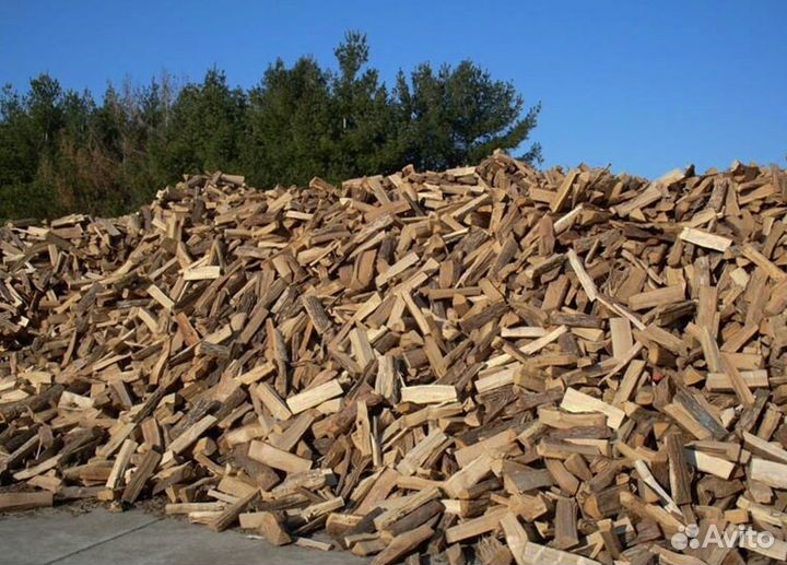 Дрова без плесени