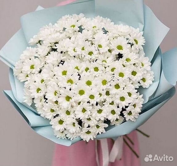 Хризантема Цветы Доставка