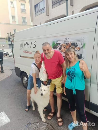 Зоотакси от 500. Доставка по Москве, РФ и миру