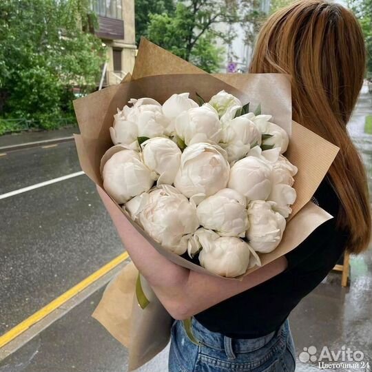 Голландские пионы