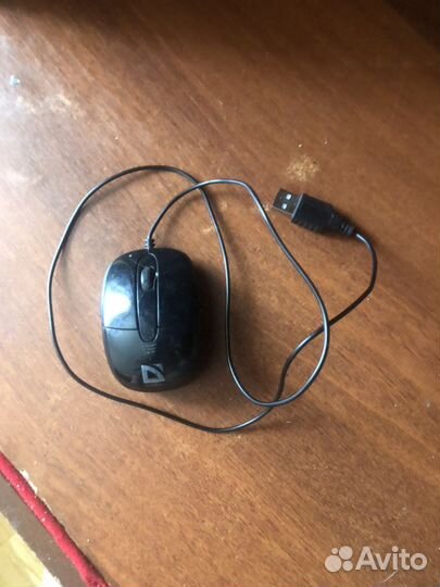 Мышь