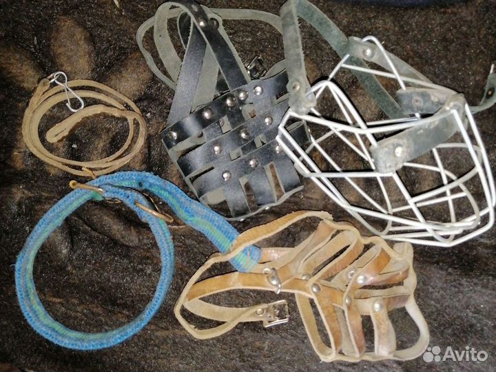 Намордник и паводок