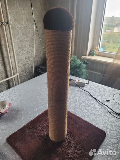 Когтеточка