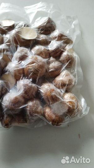 Эскарго улитки