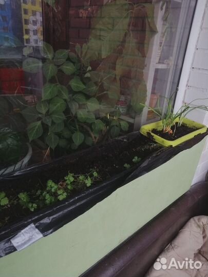 Ящик балконный для посадок