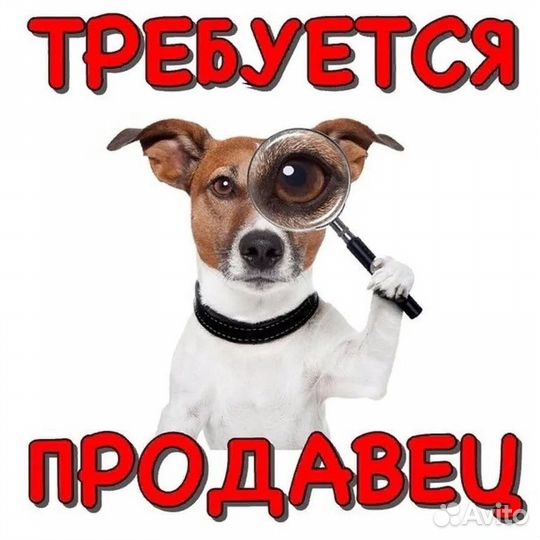 Продавец-консультант техники (Советская Гавань)